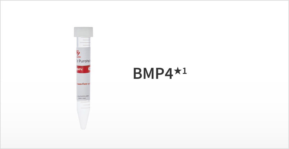 BMP4★2