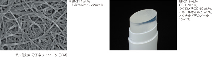 ゲル化油の分子ネットワーク(SEM)