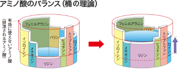アミノ酸のバランス(桶の理論)